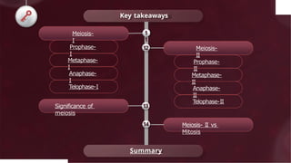 Key takeaways
Meiosis-
I
Meiosis-
II
Prophase-
II
Metaphase-
II
Anaphase-
II
Telophase-II
Meiosis- II vs
Mitosis
Prophase-
I
Metaphase-
I
Anaphase-
I
Telophase-I
Significance of
meiosis
Summary
12
13
14
1
1
 