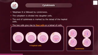 ⚫ Telophase II is followed by cytokinesis.
⚫ The cytoplasm is divided into daughter cells.
⚫ The end of cytokinesis is marked by the tetrad of the haploid
cells.
⚫ The two cells give rise to four cells or a tetrad of cells.
Cytokinesis
Cytokinesis
4 haploid cells
© 2022, Aakash BYJU'S. All rights reserved
 