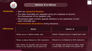⚫ Both are equatorial divisions.
⚫ The sister chromatids are separated during the anaphase to become
the chromosomes of the daughter cells.
⚫ Microtubules attach fromthe opposite directions to the centromere of each
sister chromatid pair.
⚫ Chromosomes decondense during telophase.
Meiosis- II vs Mitosis
Similarities:
Mitosis Meiosis -II
Mitosis occurs in diploid somatic cells. Meiosis -II always occurs in haploid germ cells.
Mitosis is always followed by DNA replication. Meiosis-II is not followed by DNA replication.
After mitosis, the daughter cells are exactly
similar to one another and the parent cell.
The daughter cells formed are neither similar
to each other nor similar to the parent cell.
© 2022, Aakash BYJU'S. All rights reserved
Differences:
 