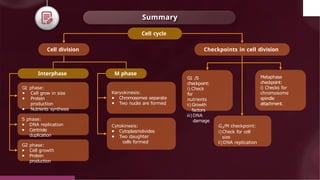 © 2022, Aakash BYJU'S. All rights
Summary
Cell cycle
Cell division
Interphase M phase
G1 phase:
● Cell grow in size
● Protein
production
● Nutrients synthesis
S phase:
● DNA replication
● Centriole
duplication
G2 phase:
● Cell growth
● Protein
production
Karyokinesis:
● Chromosomes separate
● Two nuclei are formed
Cytokinesis:
● Cytoplasmdivides
● Two daughter
cells formed
Checkpoints in cell division
G1 /S
checkpoint:
i) Check
for
nutrients
ii) Growth
factors
iii)DNA
damage
G2/M checkpoint:
i)Check for cell
size
ii)DNA replication
Metaphase
checkpoint:
i) Checks for
chromosome
spindle
attachment.
 