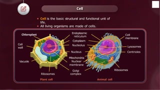 ⚫ Cell is the basic structural and functional unit of
life.
⚫ All living organisms are made of cells.
Cell
Cell
wall
Vacuole
Endoplasmic
reticulum
Cytoplasm
Nucleolus
Nucleus
Mitochondria
Nuclear
membrane
Golgi
complex
Cell
membrane
Ribosomes
Plant cell Animal cell
Lysosomes
Centrioles
Ribosomes
Chloroplast
 