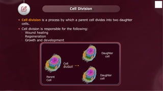 ⚫ Cell division is a process by which a parent cell divides into two daughter
cells.
⚫ Cell division is responsible for the following:
o Wound healing
o Regeneration
o Growth and development
Cell Division
Parent
Cell
Daughter
cell
Daughter
cell
Cell
division
 