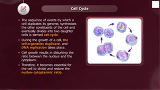 ⚫ The sequence of events by which a
cell duplicates its genome, synthesises
the other constituents of the cell and
eventually divides into two daughter
cells is termed cell cycle.
⚫ During the growth of a cell, the
cell organelles duplicate, and
DNA replication takes place.
⚫ Cell growth results in disturbing the
ratio between the nucleus and the
cytoplasm.
⚫ Therefore, it becomes essential for
the cell to divide and restore the
nucleo- cytoplasmic ratio.
Cell Cycle
 