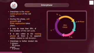 Interphase
CELL
CYCLE
M Phase
G1
G2
o G2
phase
© 2022, Aakash BYJU'S. All rights reserved
S
⚫ Interphase is the most
active phase of the cell
cycle.
⚫ During this phase, cell
growth and
DNA replication takes
place.
⚫ I
t lasts for more than 95% of
the duration of the cell cycle.
⚫ I
t is also called as the resting
phase as there is no apparent
activity related to cell division.
⚫ Interphase is further divided into
3 stages:
o G1 phase
o S phase
 