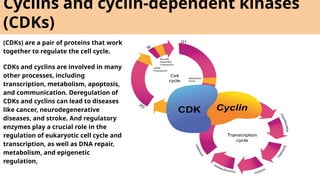 Cell cycle and it's control system .pptx