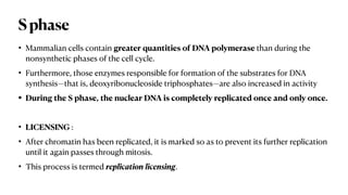 Sphase
• Mammalian cells contain greater quantities of DNA polymerase than during the
nonsynthetic phases of the cell cycle.
• Furthermore, those enzymes responsible for formation of the substrates for DNA
synthesis—that is, deoxyribonucleoside triphosphates—are also increased in activity
• During the S phase, the nuclear DNA is completely replicated once and only once.
• LICENSING :
• After chromatin has been replicated, it is marked so as to prevent its further replication
until it again passes through mitosis.
• This process is termed replication licensing.
 