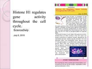 Histone H1 regulates gene activity throughout the cell cycle.  S cienceDaily July 6, 2010  