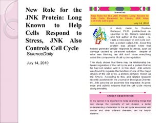 New Role for the JNK Protein: Long Known to Help Cells Respond to Stress, JNK Also Controls Cell Cycle S cienceDaily July 14, 2010  