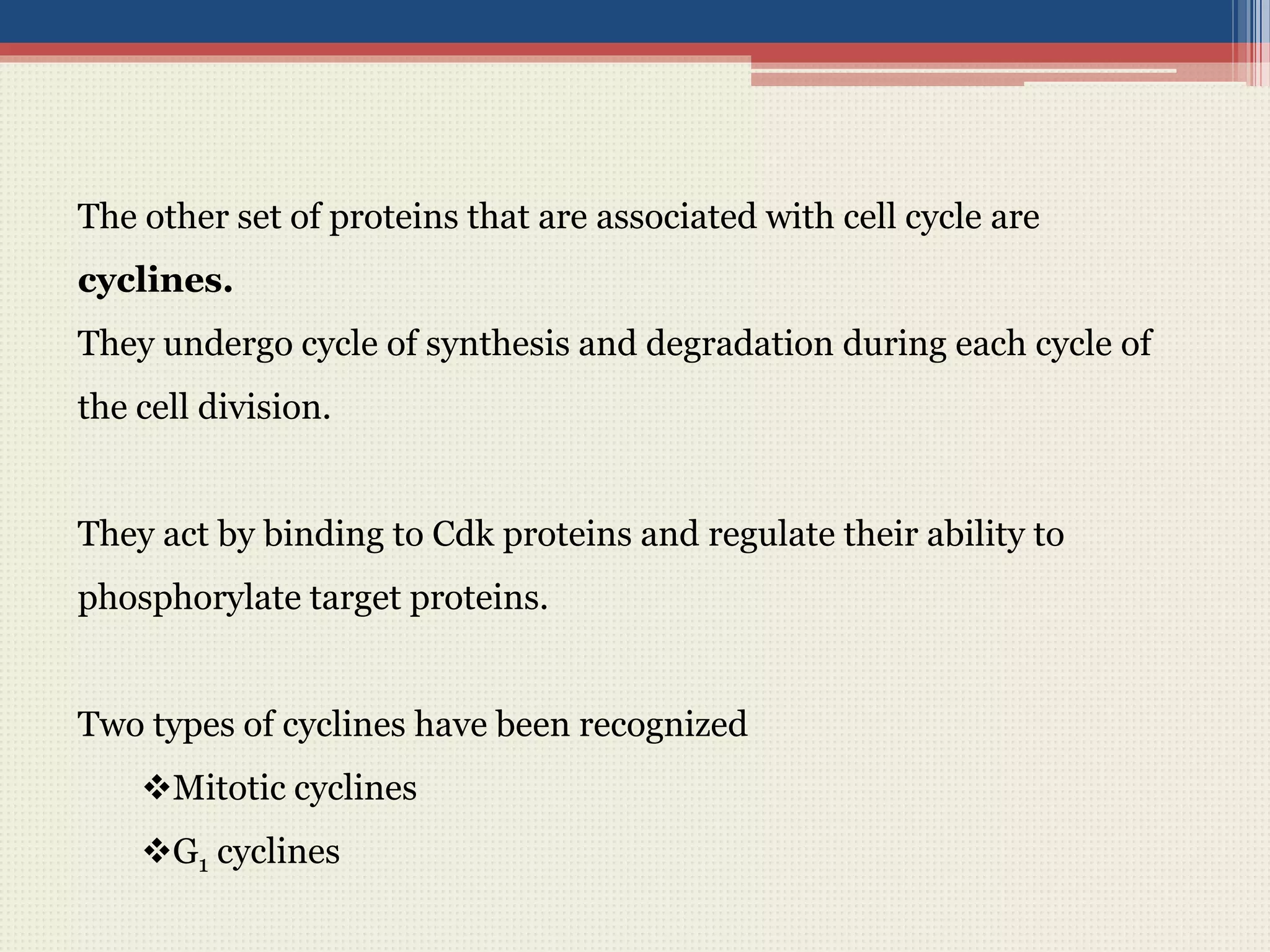 The other set of proteins that are associated with cell cycle are
cyclines.
They undergo cycle of synthesis and degradation during each cycle of
the cell division.
They act by binding to Cdk proteins and regulate their ability to
phosphorylate target proteins.
Two types of cyclines have been recognized
Mitotic cyclines
G1 cyclines
 