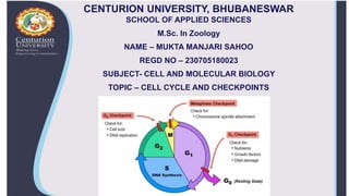 CENTURION UNIVERSITY, BHUBANESWAR
SCHOOL OF APPLIED SCIENCES
M.Sc. In Zoology
NAME – MUKTA MANJARI SAHOO
REGD NO – 230705180023
SUBJECT- CELL AND MOLECULAR BIOLOGY
TOPIC – CELL CYCLE AND CHECKPOINTS
 