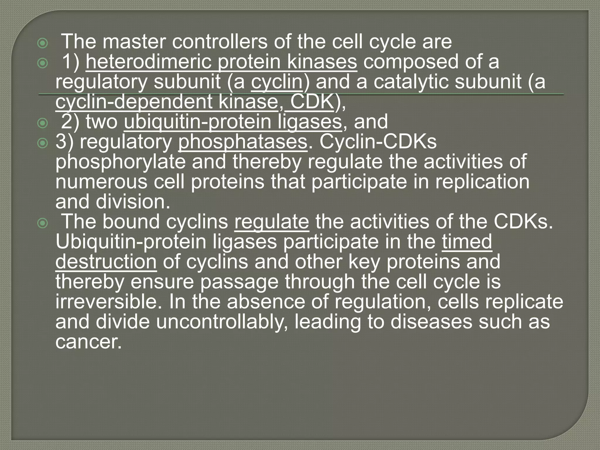  The master controllers of the cell cycle are
 1) heterodimeric protein kinases composed of a
regulatory subunit (a cyclin) and a catalytic subunit (a
cyclin-dependent kinase, CDK),
 2) two ubiquitin-protein ligases, and
 3) regulatory phosphatases. Cyclin-CDKs
phosphorylate and thereby regulate the activities of
numerous cell proteins that participate in replication
and division.
 The bound cyclins regulate the activities of the CDKs.
Ubiquitin-protein ligases participate in the timed
destruction of cyclins and other key proteins and
thereby ensure passage through the cell cycle is
irreversible. In the absence of regulation, cells replicate
and divide uncontrollably, leading to diseases such as
cancer.
 