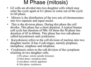 Cell cycle and its regulation | PPTX