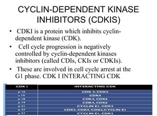 Cell cycle and its regulation | PPTX