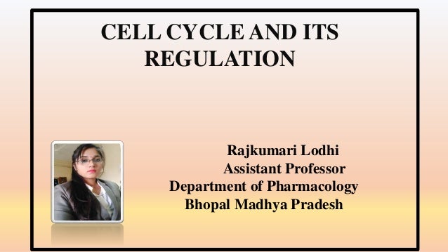 Rajkumari Lodhi
Assistant Professor
Department of Pharmacology
Bhopal Madhya Pradesh
CELL CYCLE AND ITS
REGULATION
 