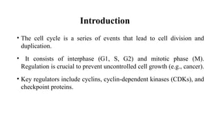 Cell Cycle and Its Regulation modified.pptx