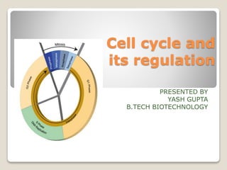 Cell cycle and
its regulation
PRESENTED BY
YASH GUPTA
B.TECH BIOTECHNOLOGY
 
