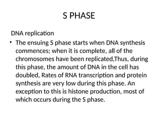 S PHASE
DNA replication
• The ensuing S phase starts when DNA synthesis
commences; when it is complete, all of the
chromosomes have been replicated,Thus, during
this phase, the amount of DNA in the cell has
doubled, Rates of RNA transcription and protein
synthesis are very low during this phase. An
exception to this is histone production, most of
which occurs during the S phase.
 