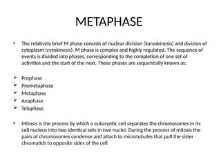 METAPHASE
• The relatively brief M phase consists of nuclear division (karyokinesis) and division of
cytoplasm (cytokinesis). M phase is complex and highly regulated. The sequence of
events is divided into phases, corresponding to the completion of one set of
activities and the start of the next. These phases are sequentially known as:
 Prophase
 Prometaphase
 Metaphase
 Anaphase
 Telophase
• Mitosis is the process by which a eukaryotic cell separates the chromosomes in its
cell nucleus into two identical sets in two nuclei. During the process of mitosis the
pairs of chromosomes condense and attach to microtubules that pull the sister
chromatids to opposite sides of the cell
 