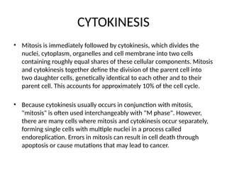 CYTOKINESIS
• Mitosis is immediately followed by cytokinesis, which divides the
nuclei, cytoplasm, organelles and cell membrane into two cells
containing roughly equal shares of these cellular components. Mitosis
and cytokinesis together define the division of the parent cell into
two daughter cells, genetically identical to each other and to their
parent cell. This accounts for approximately 10% of the cell cycle.
• Because cytokinesis usually occurs in conjunction with mitosis,
"mitosis" is often used interchangeably with "M phase". However,
there are many cells where mitosis and cytokinesis occur separately,
forming single cells with multiple nuclei in a process called
endoreplication. Errors in mitosis can result in cell death through
apoptosis or cause mutations that may lead to cancer.
 