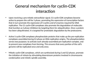 General mechanism for cyclin-CDK
interaction
• Upon receiving a pro-mitotic extracellular signal, G1 cyclin-CDK complexes become
active to prepare the cell for S phase, promoting the expression of transcription factors
that in turn promote the expression of S cyclins and of enzymes required for DNA
replication. The G1 cyclin-CDK complexes also promote the degradation of molecules
that function as S phase inhibitors by targeting them for ubiquitination. Once a protein
has been ubiquitinated, it is targeted for proteolytic degradation by the proteasome.
• Active S cyclin-CDK complexes phosphorylate proteins that make up the pre-replication
complexes assembled during G1 phase on DNA replication origins. The phosphorylation
serves two purposes: to activate each already-assembled pre-replication complex, and
to prevent new complexes from forming. This ensures that every portion of the cell's
genome will be replicated once and only once.
• Mitotic cyclin-CDK complexes, which are synthesized during S and G2 phases, promote
the initiation of mitosis by stimulating downstream proteins involved in chromosome
condensation and mitotic spindle assembly.
 
