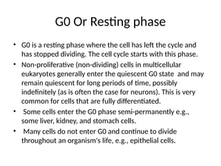 G0 Or Resting phase
• G0 is a resting phase where the cell has left the cycle and
has stopped dividing. The cell cycle starts with this phase.
• Non-proliferative (non-dividing) cells in multicellular
eukaryotes generally enter the quiescent G0 state and may
remain quiescent for long periods of time, possibly
indefinitely (as is often the case for neurons). This is very
common for cells that are fully differentiated.
• Some cells enter the G0 phase semi-permanently e.g.,
some liver, kidney, and stomach cells.
• Many cells do not enter G0 and continue to divide
throughout an organism's life, e.g., epithelial cells.
 