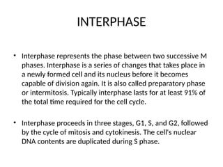 INTERPHASE
• Interphase represents the phase between two successive M
phases. Interphase is a series of changes that takes place in
a newly formed cell and its nucleus before it becomes
capable of division again. It is also called preparatory phase
or intermitosis. Typically interphase lasts for at least 91% of
the total time required for the cell cycle.
• Interphase proceeds in three stages, G1, S, and G2, followed
by the cycle of mitosis and cytokinesis. The cell's nuclear
DNA contents are duplicated during S phase.
 