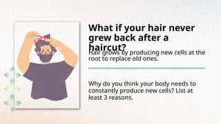 What if your hair never
grew back after a
haircut?
Hair grows by producing new cells at the
root to replace old ones.
Why do you think your body needs to
constantly produce new cells? List at
least 3 reasons.
 