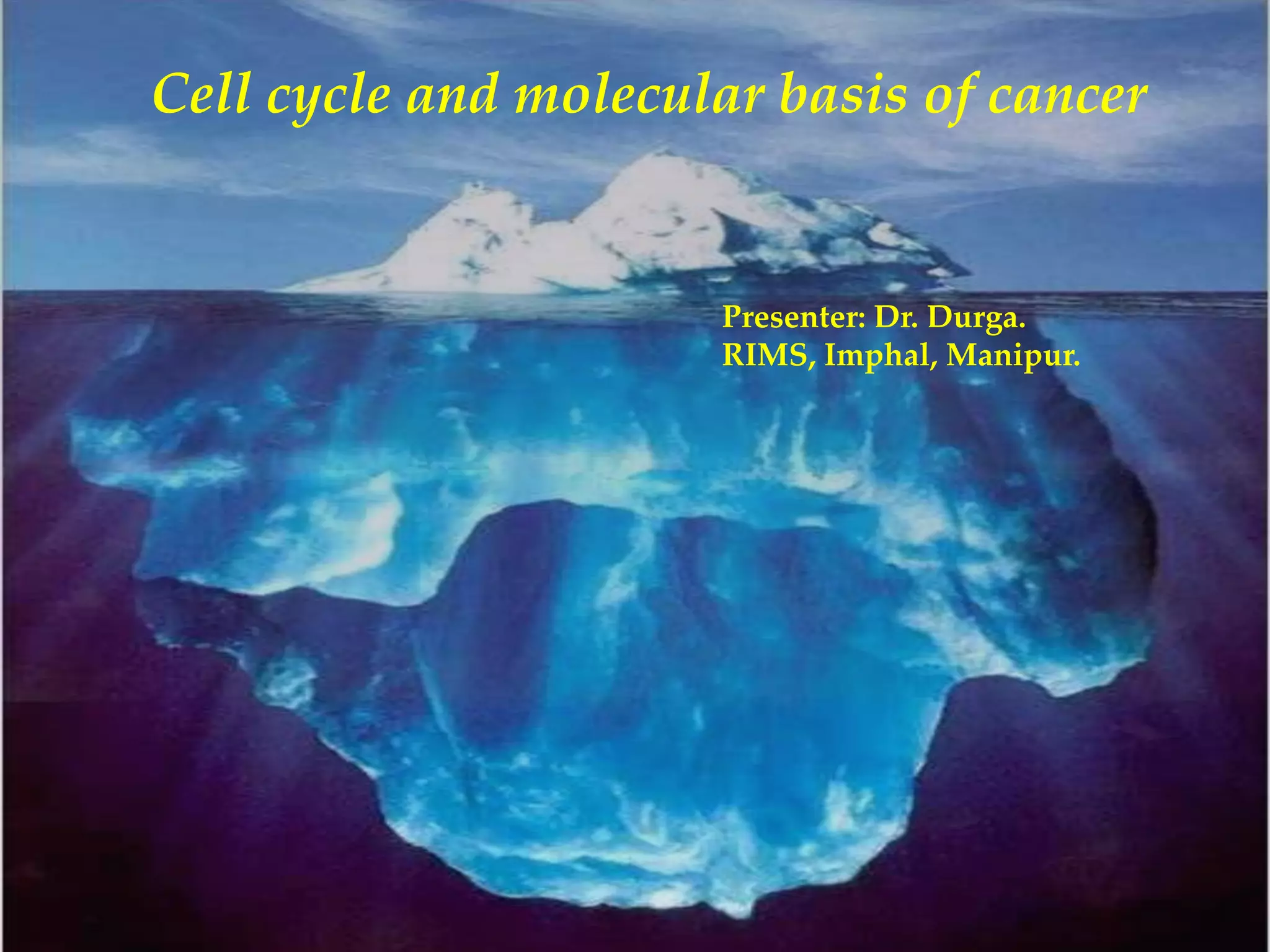 Cell cycle and molecular basis of cancer. | PPTX