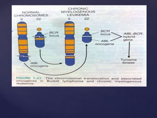 Cell cycle and molecular basis of cancer. | PPTX