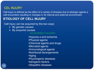 ETIOLOGY OF CELL INJURY
Cell injury can be acquired by the two ways
 By genetic causes
 By acquired causes
ACQUIRED CAUSES
•Hypoxia a and ischemia
•Physical agents
•Chemical agents and drugs
•Microbial agents
•Immunological agents
•Nutritional derangements
•Aging
•Psychogenic diseases
•Iatrogenic factors
•Idiopathic diseases16
Cell injury is defined as the effect of a variety of stresses due to etiologic agents a
cell encounters resulting in changes in its internal and external environment.
CEL INJURY
 