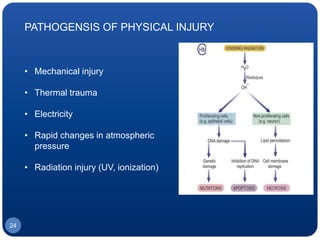 PATHOGENSIS OF PHYSICAL INJURY
• Mechanical injury
• Thermal trauma
• Electricity
• Rapid changes in atmospheric
pressure
• Radiation injury (UV, ionization)
24
 