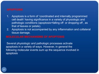 APOPTOSIS
1. Apoptosis is a form of ‘coordinated and internally programmed
cell death’ having significance in a variety of physiologic and
pathologic conditions (apoptosis=falling off or dropping off , as
that of leaves or petals).
2. Apoptosis is not accompanied by any inflammation and collateral
tissue damage.
MOLECULAR MECHANISMS OF APOPTOSIS
Several physiologic and pathologic processes activate
apoptosis in a variety of ways. However, in general the
following molecular events sum up the sequence involved in
apoptosis
27
 