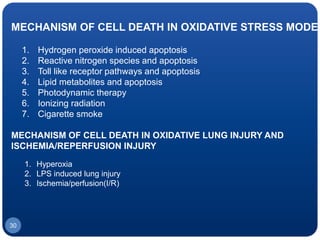 MECHANISM OF CELL DEATH IN OXIDATIVE STRESS MODEL
1. Hydrogen peroxide induced apoptosis
2. Reactive nitrogen species and apoptosis
3. Toll like receptor pathways and apoptosis
4. Lipid metabolites and apoptosis
5. Photodynamic therapy
6. Ionizing radiation
7. Cigarette smoke
MECHANISM OF CELL DEATH IN OXIDATIVE LUNG INJURY AND
ISCHEMIA/REPERFUSION INJURY
1. Hyperoxia
2. LPS induced lung injury
3. Ischemia/perfusion(I/R)
30
 