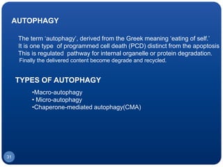 AUTOPHAGY
The term ‘autophagy’, derived from the Greek meaning ‘eating of self.’
It is one type of programmed cell death (PCD) distinct from the apoptosis a
This is regulated pathway for internal organelle or protein degradation.
Finally the delivered content become degrade and recycled.
31
TYPES OF AUTOPHAGY
•Macro-autophagy
• Micro-autophagy
•Chaperone-mediated autophagy(CMA)
 
