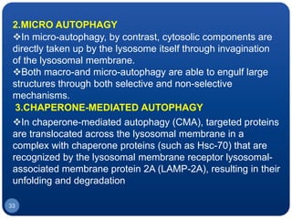 33
2.MICRO AUTOPHAGY
In micro-autophagy, by contrast, cytosolic components are
directly taken up by the lysosome itself through invagination
of the lysosomal membrane.
Both macro-and micro-autophagy are able to engulf large
structures through both selective and non-selective
mechanisms.
In chaperone-mediated autophagy (CMA), targeted proteins
are translocated across the lysosomal membrane in a
complex with chaperone proteins (such as Hsc-70) that are
recognized by the lysosomal membrane receptor lysosomal-
associated membrane protein 2A (LAMP-2A), resulting in their
unfolding and degradation
3.CHAPERONE-MEDIATED AUTOPHAGY
 