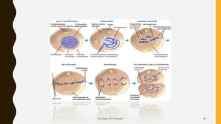 Mr.Tushar D. Morankar 10
 