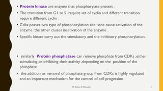 • Protein kinase are enzyme that phosphorylate protein .
• The transition from G1 to S require set of cyclin and different transition
require different cyclin .
• Cdks posses two type of phosphorylation site : one cause activation of the
enzyme ;the other causes inactivation of the enzyme .
• Specific kinase carry out the stimulatory and the inhibitory phosphorylation.
• similarly Protein phosphatase can remove phosphate from CDKs ,either
stimulating or inhibiting their activity ,depending on the position of the
phosphate
• the addition or removal of phosphate group from CDKs is highly regulated
and an important mechanism for the control of cell progession
Mr.Tushar D. Morankar 13
 