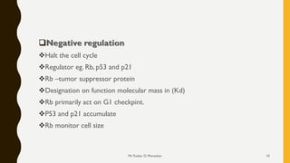 ❑Negative regulation
❖Halt the cell cycle
❖Regulator eg. Rb, p53 and p21
❖Rb –tumor suppressor protein
❖Designation on function molecular mass in (Kd)
❖Rb primarily act on G1 checkpint.
❖P53 and p21 accumulate
❖Rb monitor cell size
Mr.Tushar D. Morankar 15
 