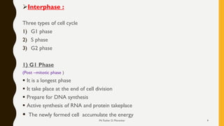 Cell cycle and regulation | PDF