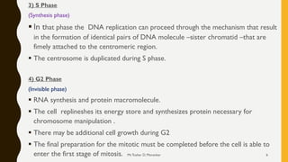 3) S Phase
(Synthesis phase)
▪ In that phase the DNA replication can proceed through the mechanism that result
in the formation of identical pairs of DNA molecule –sister chromatid –that are
fimely attached to the centromeric region.
▪ The centrosome is duplicated during S phase.
4) G2 Phase
(Invisible phase)
▪ RNA synthesis and protein macromolecule.
▪ The cell replineshes its energy store and synthesizes protein necessary for
chromosome manipulation .
▪ There may be additional cell growth during G2
▪ The final preparation for the mitotic must be completed before the cell is able to
enter the first stage of mitosis. Mr.Tushar D. Morankar 6
 