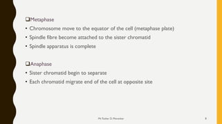 ❑Metaphase
• Chromosome move to the equator of the cell (metaphase plate)
• Spindle fibre become attached to the sister chromatid
• Spindle apparatus is complete
❑Anaphase
• Sister chromatid begin to separate
• Each chromatid migrate end of the cell at opposite site
Mr.Tushar D. Morankar 8
 