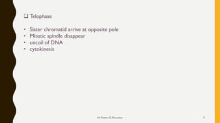 ❑ Telophase
• Sister chromatid arrive at opposite pole
• Mitotic spindle disappear
• uncoil of DNA
• cytokinesis
Mr.Tushar D. Morankar 9
 
