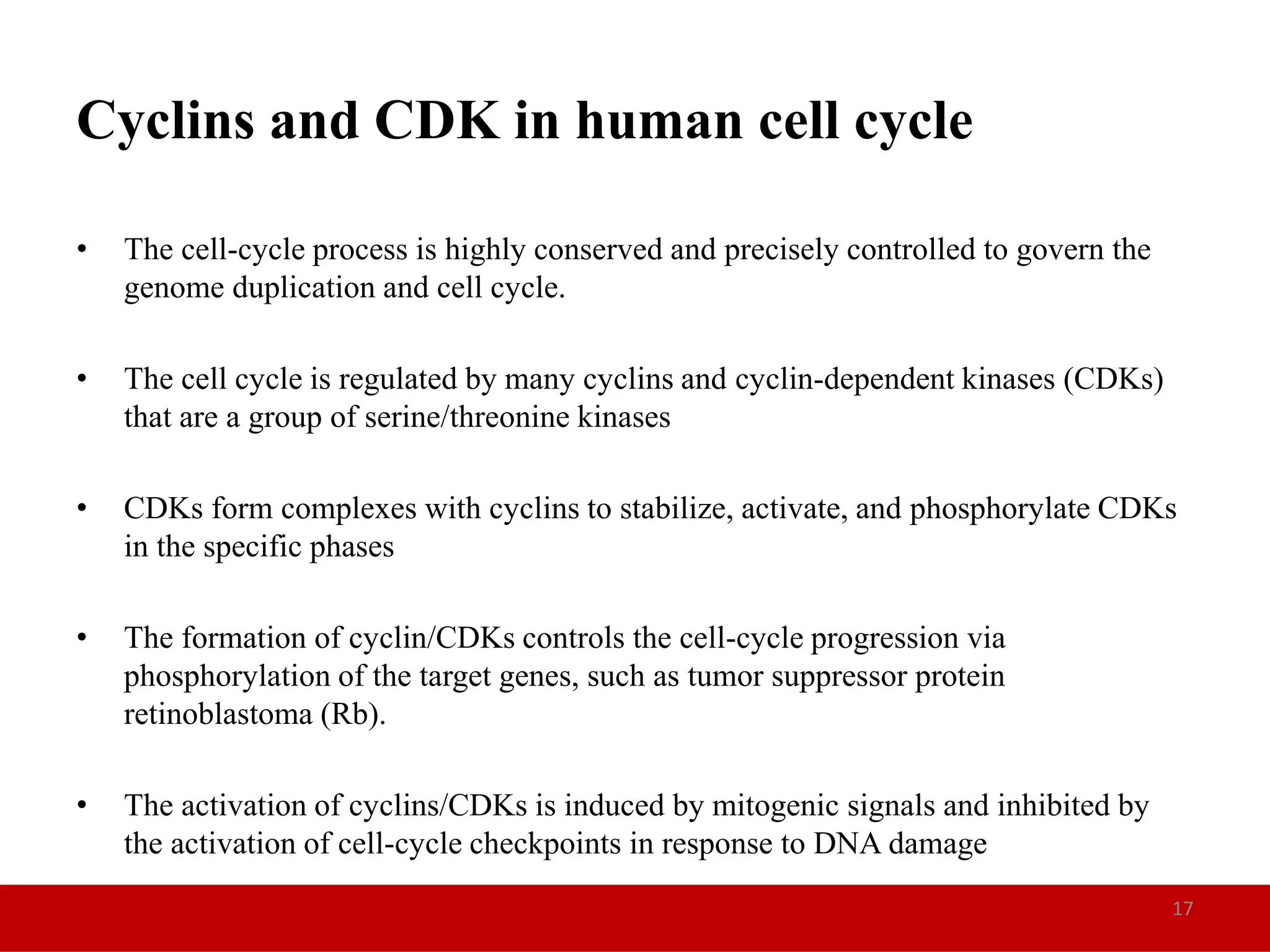 Cell cycle and regulation in eukaryotes | PPTX