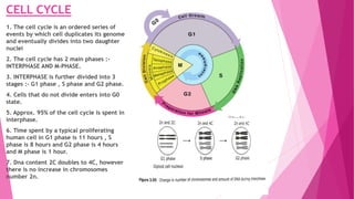 Cell cycle and regulation | PPT