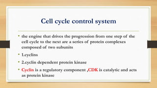 CELL CYCLE , MITOSIS ,MEIOSIS AND CELL REGULATION | PPTX