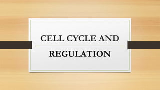 CELL CYCLE AND
REGULATION
 