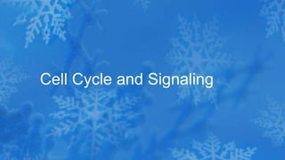 Cell Cycle and Signaling
 