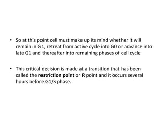 • So at this point cell must make up its mind whether it will
remain in G1, retreat from active cycle into G0 or advance into
late G1 and thereafter into remaining phases of cell cycle
• This critical decision is made at a transition that has been
called the restriction point or R point and it occurs several
hours before G1/S phase.
 