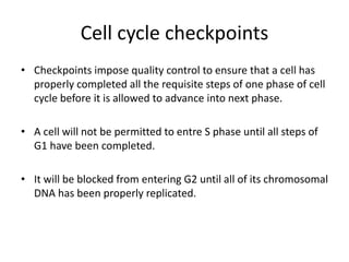 Cell cycle checkpoints
• Checkpoints impose quality control to ensure that a cell has
properly completed all the requisite steps of one phase of cell
cycle before it is allowed to advance into next phase.
• A cell will not be permitted to entre S phase until all steps of
G1 have been completed.
• It will be blocked from entering G2 until all of its chromosomal
DNA has been properly replicated.
 