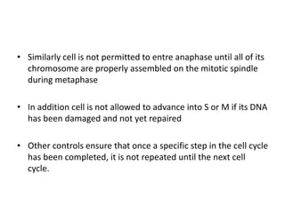 • Similarly cell is not permitted to entre anaphase until all of its
chromosome are properly assembled on the mitotic spindle
during metaphase
• In addition cell is not allowed to advance into S or M if its DNA
has been damaged and not yet repaired
• Other controls ensure that once a specific step in the cell cycle
has been completed, it is not repeated until the next cell
cycle.
 